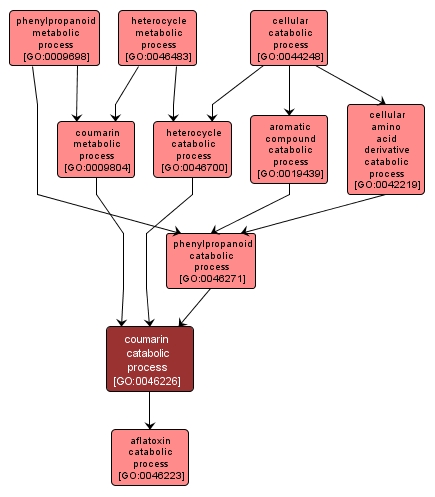 GO:0046226 - coumarin catabolic process (interactive image map)