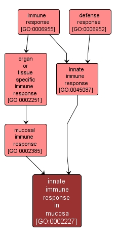 GO:0002227 - innate immune response in mucosa (interactive image map)