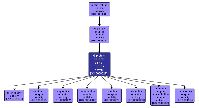 GO:0008227 - G-protein coupled amine receptor activity (interactive image map)