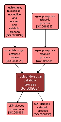 GO:0009227 - nucleotide-sugar catabolic process (interactive image map)