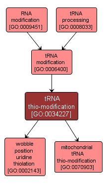 GO:0034227 - tRNA thio-modification (interactive image map)