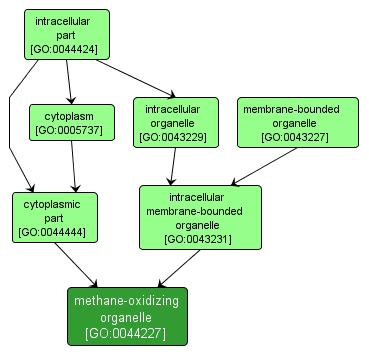 GO:0044227 - methane-oxidizing organelle (interactive image map)