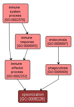 GO:0008228 - opsonization (interactive image map)