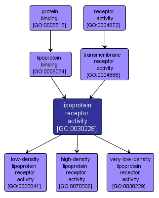 GO:0030228 - lipoprotein receptor activity (interactive image map)