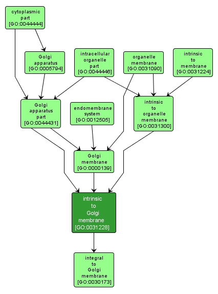 GO:0031228 - intrinsic to Golgi membrane (interactive image map)