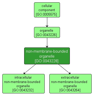 GO:0043228 - non-membrane-bounded organelle (interactive image map)