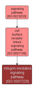 GO:0007229 - integrin-mediated signaling pathway (interactive image map)