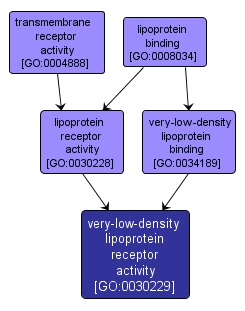 GO:0030229 - very-low-density lipoprotein receptor activity (interactive image map)
