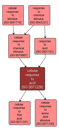 GO:0071229 - cellular response to acid (interactive image map)