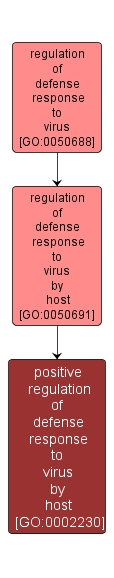 GO:0002230 - positive regulation of defense response to virus by host (interactive image map)