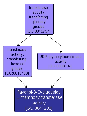 GO:0047230 - flavonol-3-O-glucoside L-rhamnosyltransferase activity (interactive image map)