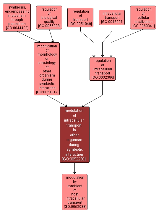 GO:0052230 - modulation of intracellular transport in other organism during symbiotic interaction (interactive image map)