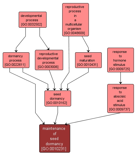 GO:0010231 - maintenance of seed dormancy (interactive image map)