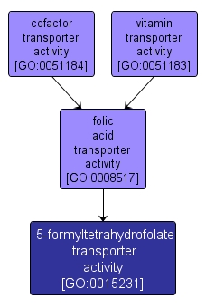 GO:0015231 - 5-formyltetrahydrofolate transporter activity (interactive image map)