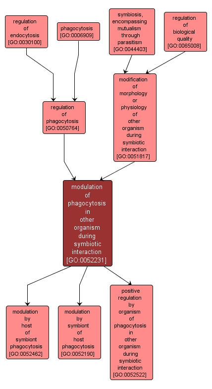 GO:0052231 - modulation of phagocytosis in other organism during symbiotic interaction (interactive image map)