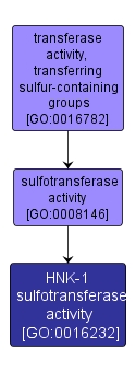 GO:0016232 - HNK-1 sulfotransferase activity (interactive image map)