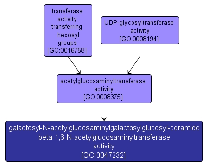 GO:0047232 - galactosyl-N-acetylglucosaminylgalactosylglucosyl-ceramide beta-1,6-N-acetylglucosaminyltransferase activity (interactive image map)