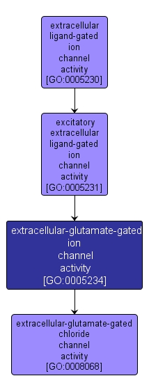 GO:0005234 - extracellular-glutamate-gated ion channel activity (interactive image map)