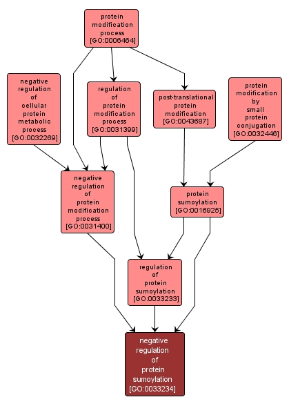 GO:0033234 - negative regulation of protein sumoylation (interactive image map)