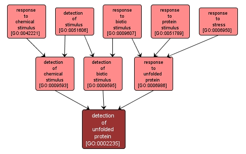 GO:0002235 - detection of unfolded protein (interactive image map)