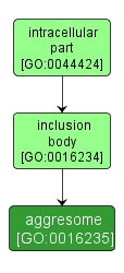 GO:0016235 - aggresome (interactive image map)