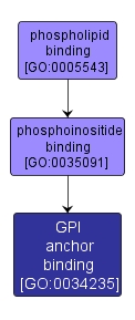 GO:0034235 - GPI anchor binding (interactive image map)
