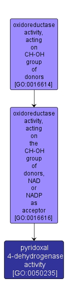 GO:0050235 - pyridoxal 4-dehydrogenase activity (interactive image map)