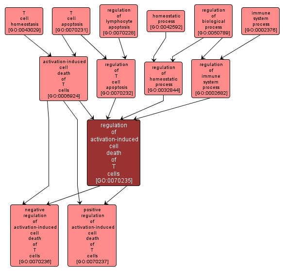 GO:0070235 - regulation of activation-induced cell death of T cells (interactive image map)