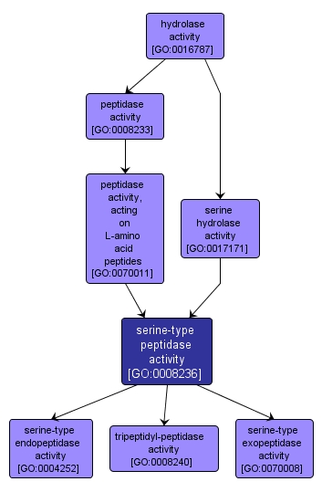 GO:0008236 - serine-type peptidase activity (interactive image map)