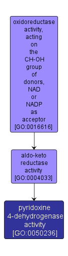 GO:0050236 - pyridoxine 4-dehydrogenase activity (interactive image map)