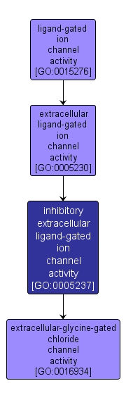 GO:0005237 - inhibitory extracellular ligand-gated ion channel activity (interactive image map)