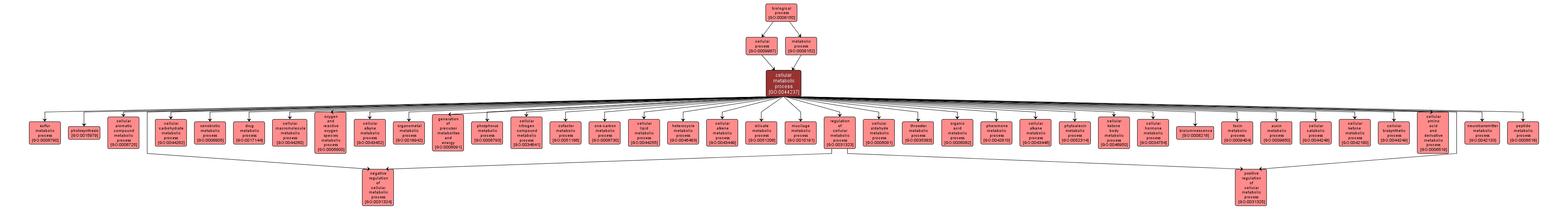 GO:0044237 - cellular metabolic process (interactive image map)