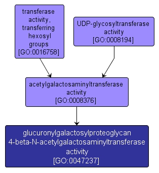 GO:0047237 - glucuronylgalactosylproteoglycan 4-beta-N-acetylgalactosaminyltransferase activity (interactive image map)