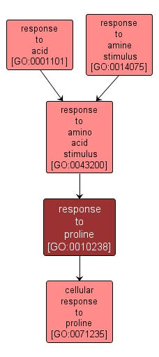 GO:0010238 - response to proline (interactive image map)