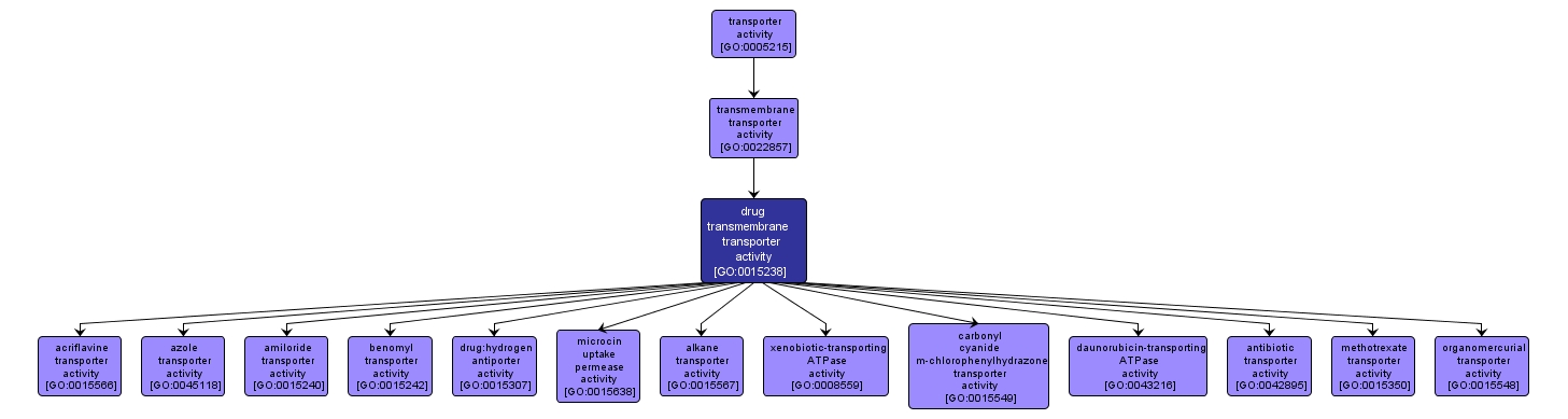 GO:0015238 - drug transmembrane transporter activity (interactive image map)