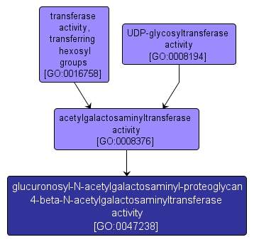 GO:0047238 - glucuronosyl-N-acetylgalactosaminyl-proteoglycan 4-beta-N-acetylgalactosaminyltransferase activity (interactive image map)