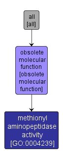 GO:0004239 - methionyl aminopeptidase activity (interactive image map)