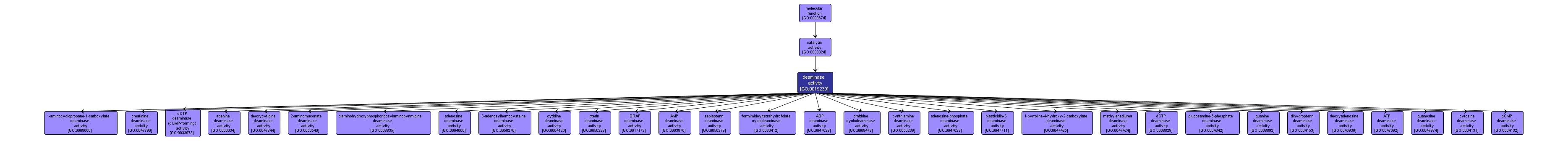 GO:0019239 - deaminase activity (interactive image map)