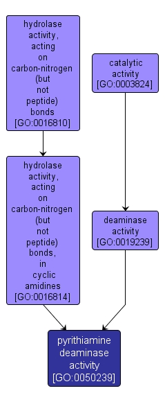 GO:0050239 - pyrithiamine deaminase activity (interactive image map)