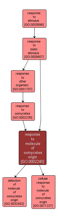 GO:0002240 - response to molecule of oomycetes origin (interactive image map)