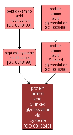 GO:0018240 - protein amino acid S-linked glycosylation via cysteine (interactive image map)