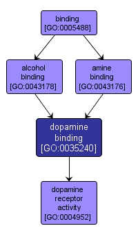 GO:0035240 - dopamine binding (interactive image map)