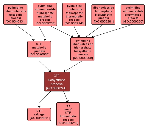 GO:0006241 - CTP biosynthetic process (interactive image map)