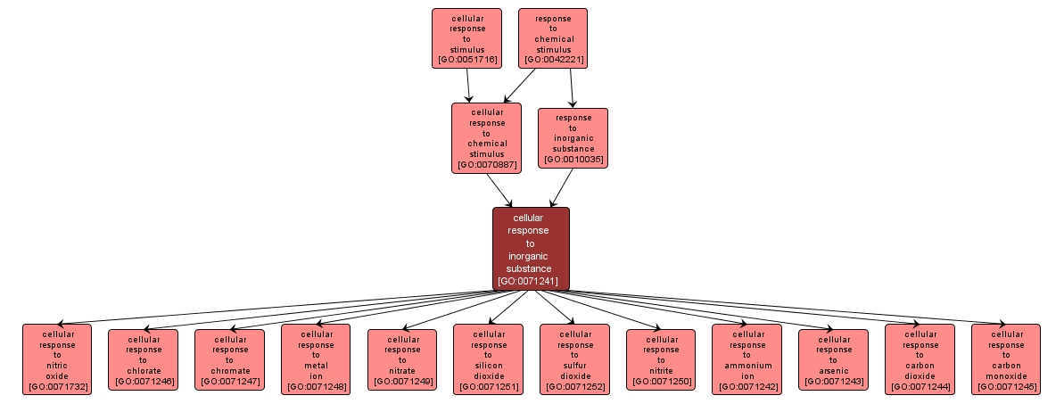 GO:0071241 - cellular response to inorganic substance (interactive image map)