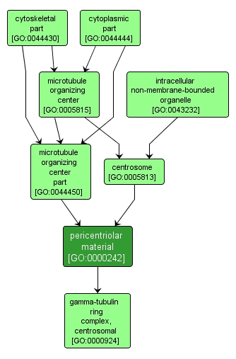 GO:0000242 - pericentriolar material (interactive image map)