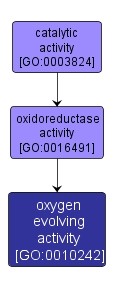GO:0010242 - oxygen evolving activity (interactive image map)