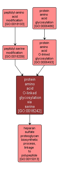 GO:0018242 - protein amino acid O-linked glycosylation via serine (interactive image map)