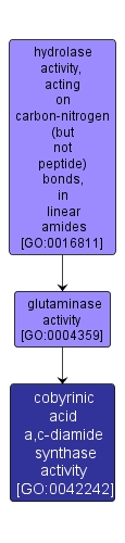 GO:0042242 - cobyrinic acid a,c-diamide synthase activity (interactive image map)