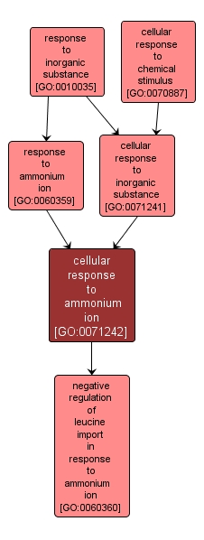 GO:0071242 - cellular response to ammonium ion (interactive image map)