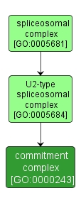 GO:0000243 - commitment complex (interactive image map)